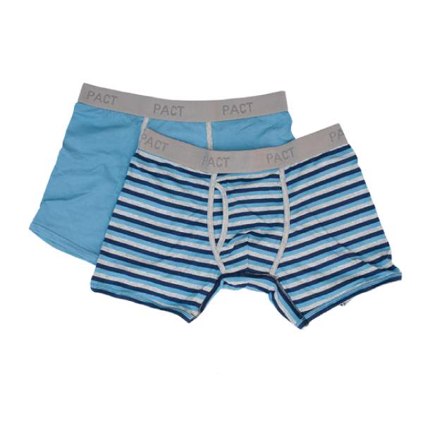 Mens Everyday Charcoal/Blue Stripe Boxer Briefs L